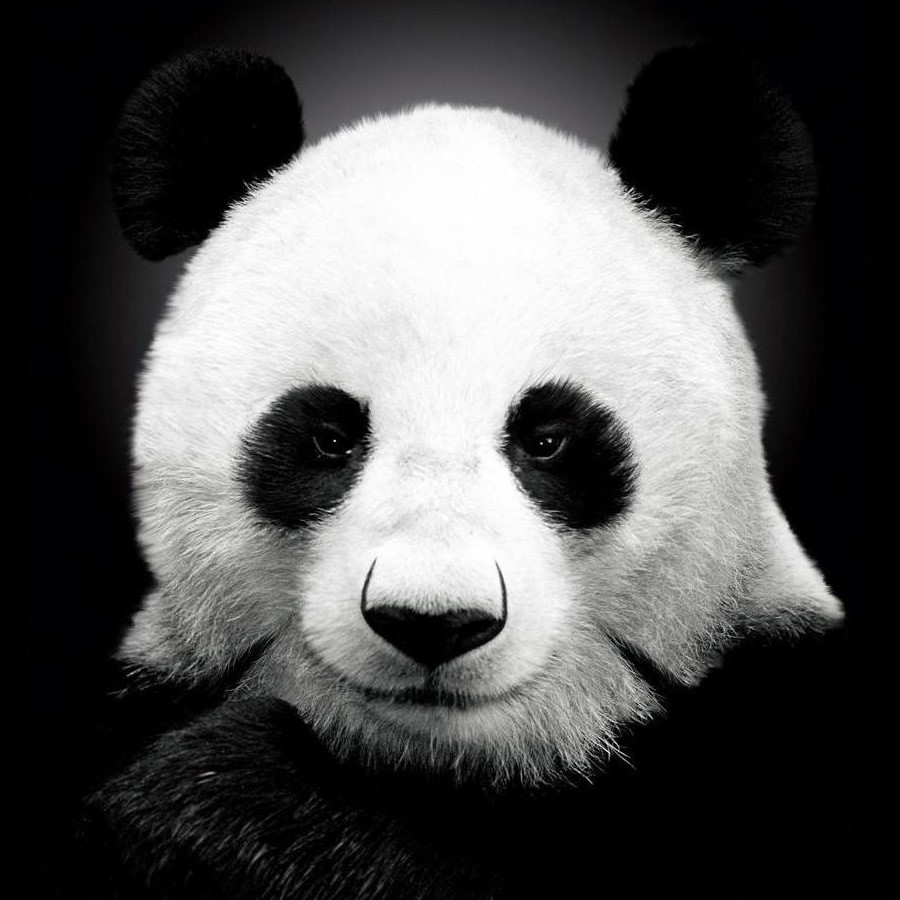 Li Lei's avatar